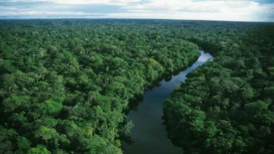 A Floresta Amazônica