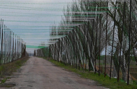 Redes Antidrones: A Tecnologia que Protege 800 km de Estradas na Ucrânia