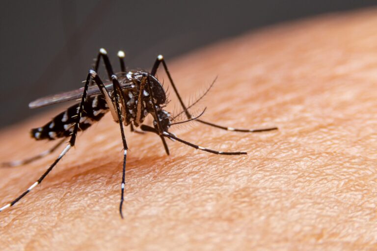 SES apura óbitos de crianças no Sertão da Paraíba com indícios de dengue